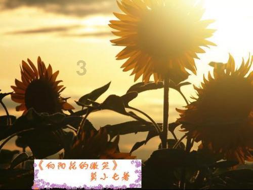 植物大战僵尸：花园战争