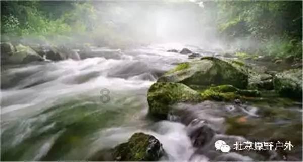 相扑选手大跳跃
